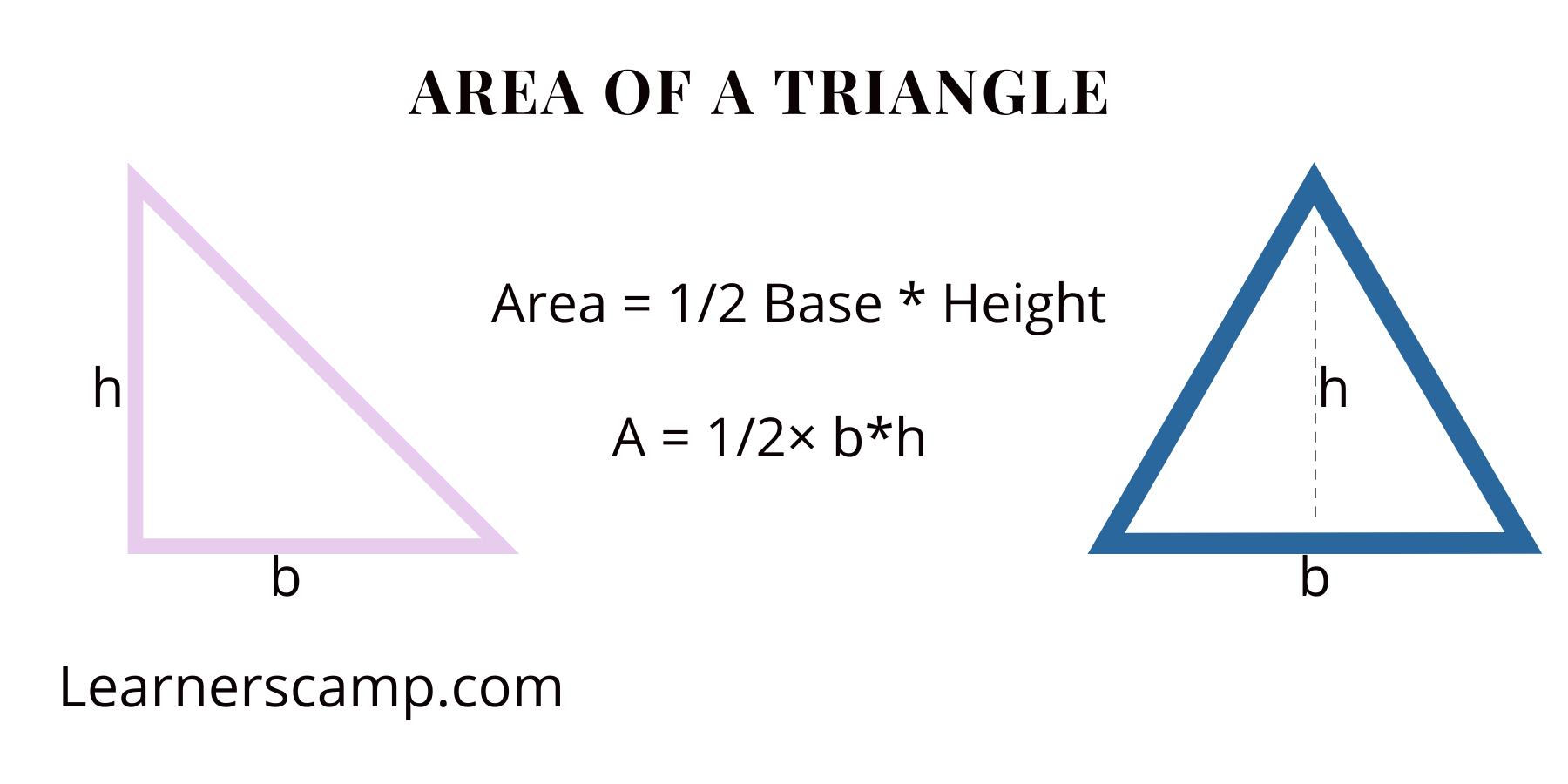 How to Find the Area of a Triangle
