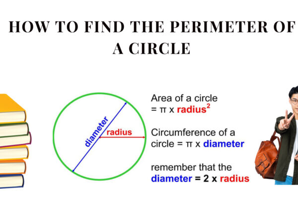 How-To-Calculate-The-Perimeter-Of-A-Circle.jpeg